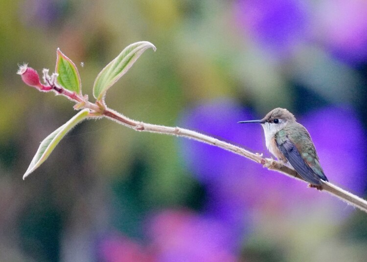 Lire la suite à propos de l’article EHPAD, un accueil possible ?