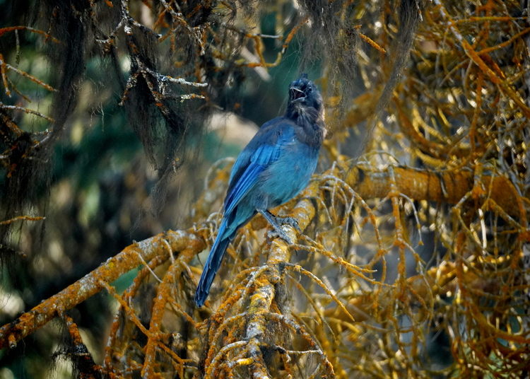 Lire la suite à propos de l’article « Le désir, c’est la santé »
