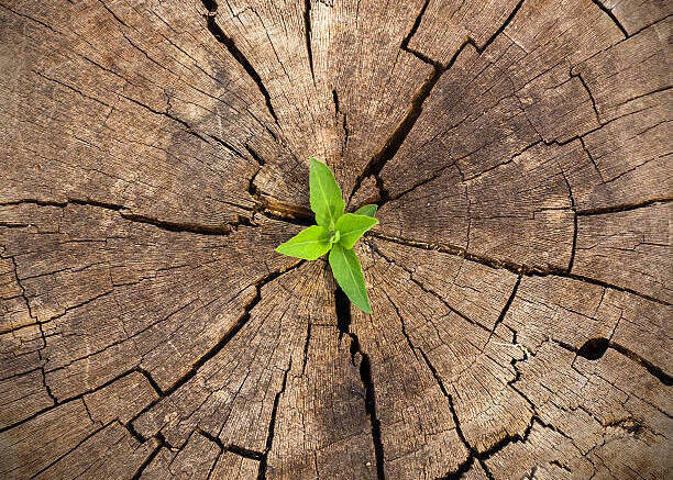 Lire la suite à propos de l’article Soirée du 23.09.25 : Un écho