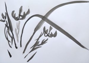 Lire la suite à propos de l’article Vieillir ?